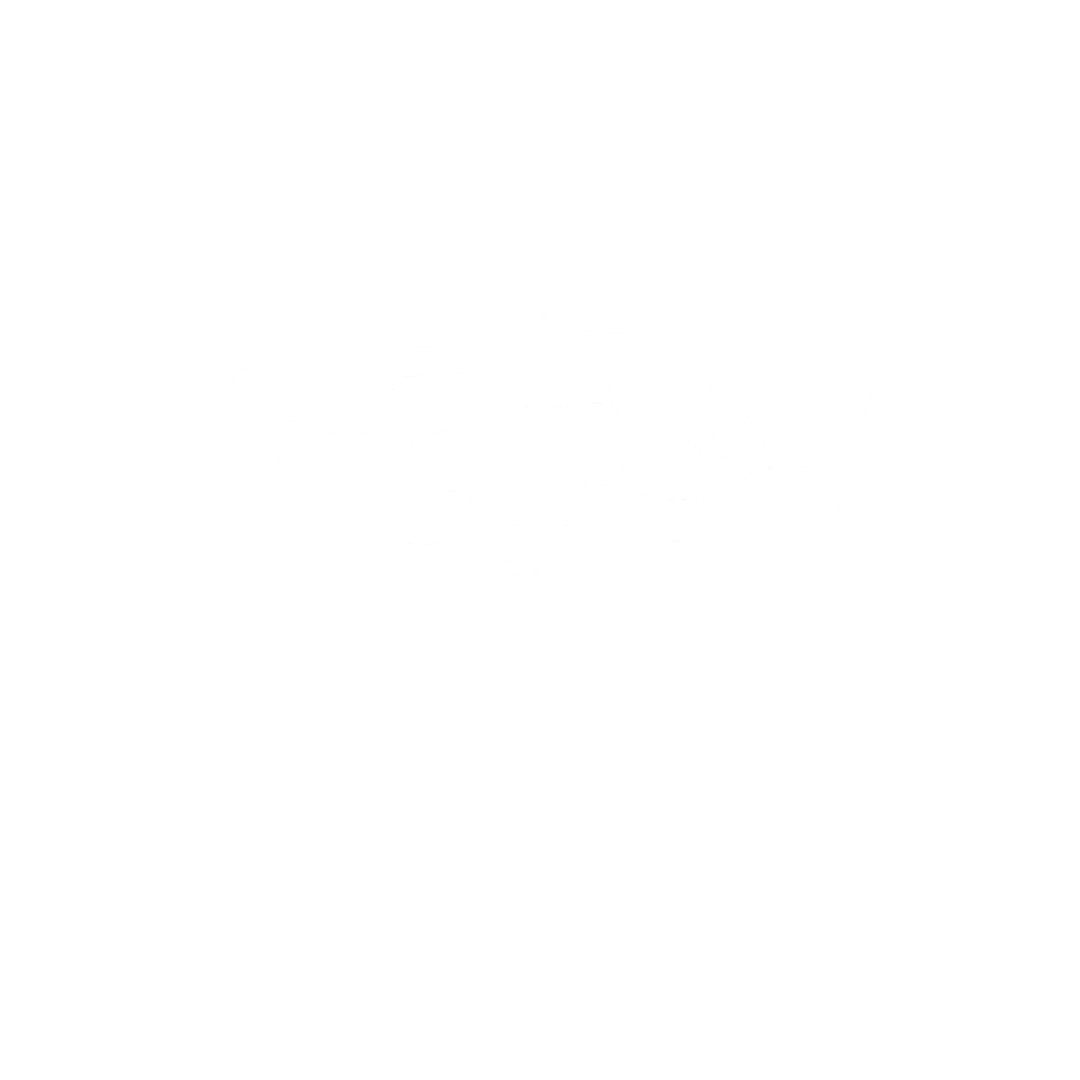JEANWILDER logo